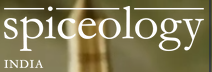 Personal Wellness Coaching in India – Personalized Spa & Wellness Experiences